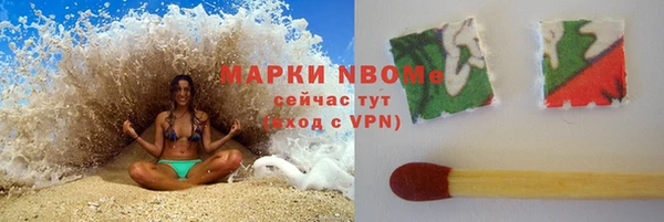 стаф Каменск-Шахтинский