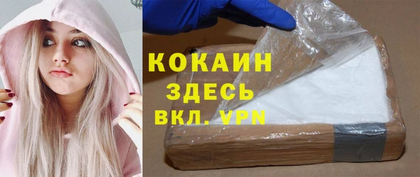 ГАЛЛЮЦИНОГЕННЫЕ ГРИБЫ Каменка
