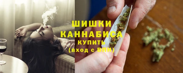 ГАЛЛЮЦИНОГЕННЫЕ ГРИБЫ Каменка
