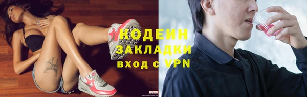 ГАЛЛЮЦИНОГЕННЫЕ ГРИБЫ Каменка