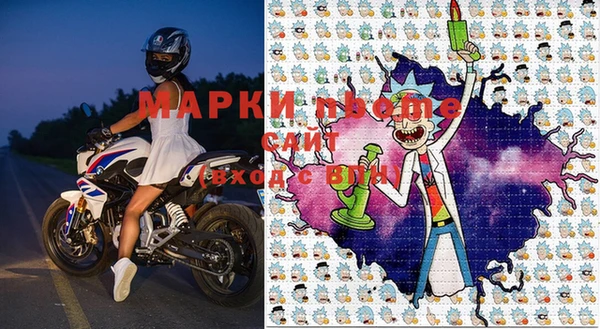 ГАЛЛЮЦИНОГЕННЫЕ ГРИБЫ Каменка