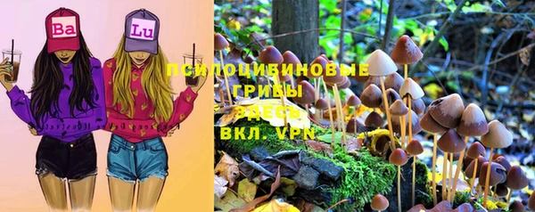 мдпв Карпинск