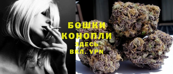 ГАЛЛЮЦИНОГЕННЫЕ ГРИБЫ Каменка