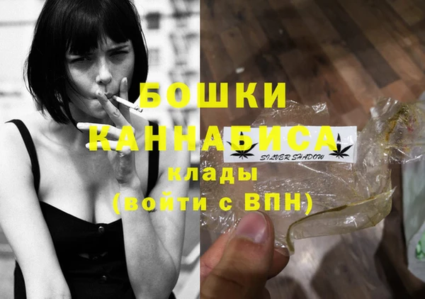 стаф Каменск-Шахтинский
