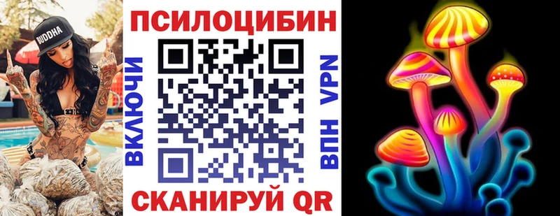 Галлюциногенные грибы Psilocybine cubensis  как найти наркотики  Кувандык 
