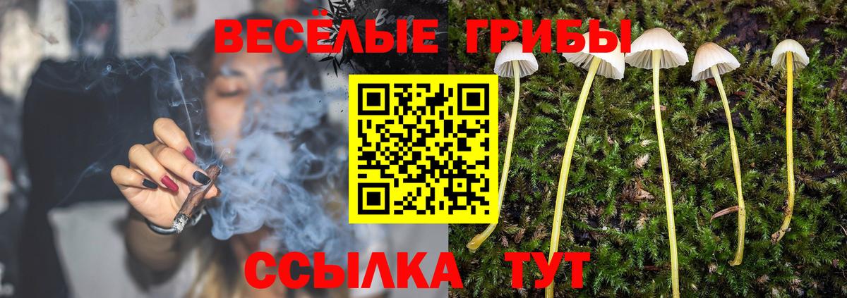 Галлюциногенные грибы прущие грибы  Вход с VPN  Кувандык 
