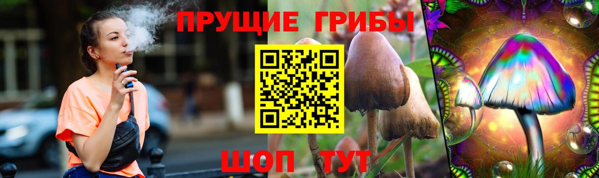 Галлюциногенные грибы Psilocybe Кувандык